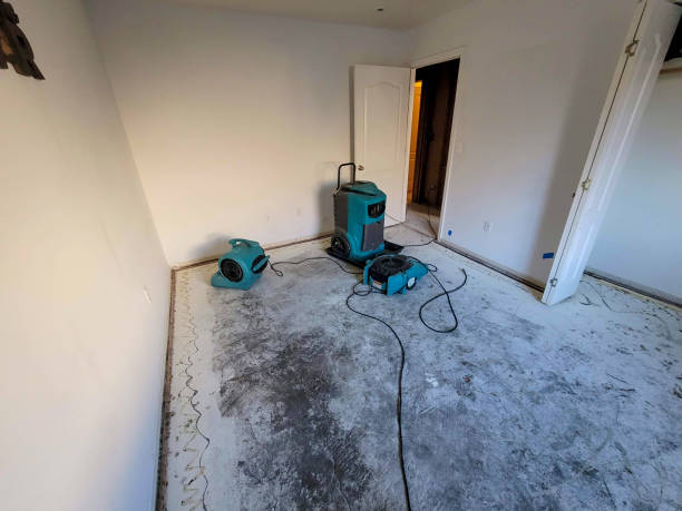 Best Mold removal after water damage  in Drexel, OH