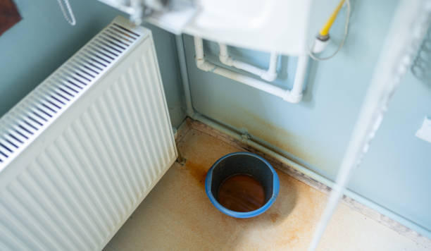 Best Water damage restoration mold remediation  in Drexel, OH