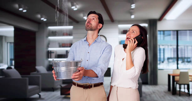 Best Water damage restoration near me  in Drexel, OH