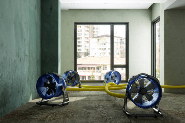 Best Sewage cleanup and water damage restoration  in Drexel, OH